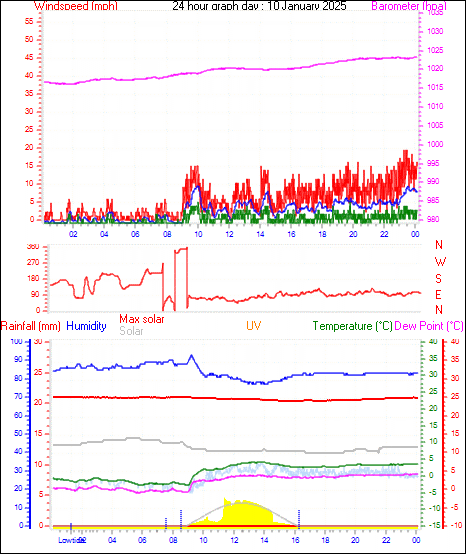 24 Hour Graph for Day 10